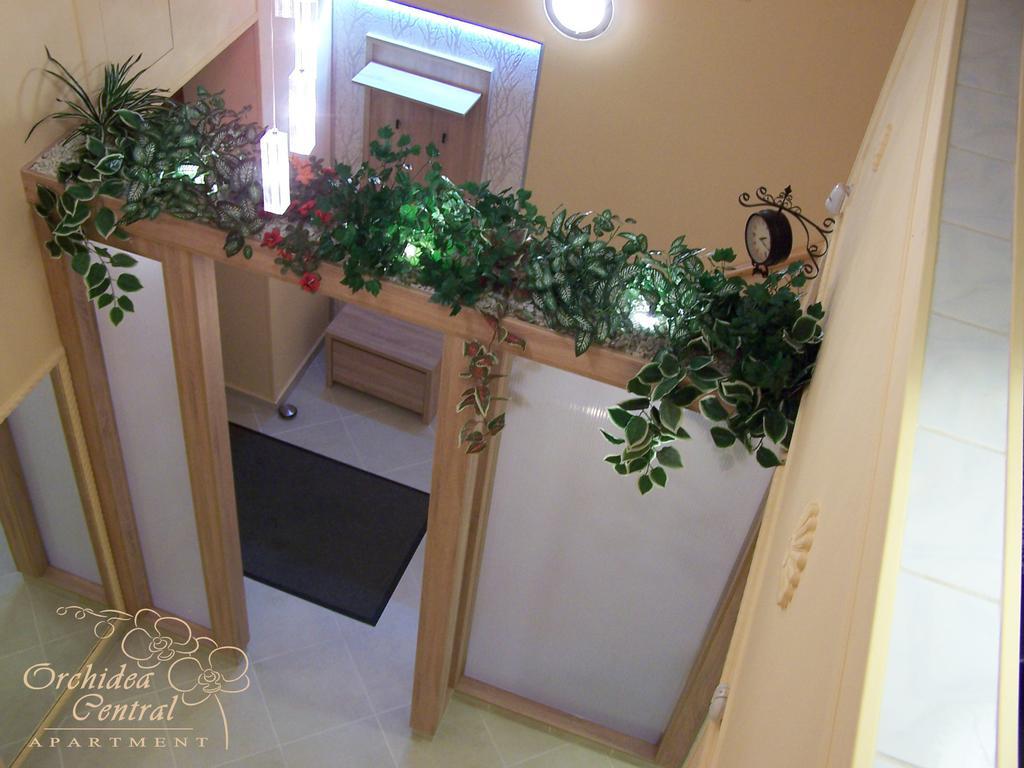 Orchidea Central Apartment Budapest Eksteriør billede